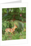 Young Roe Deer in Adel Woods, 1999 by Raymond Booth