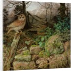 The Wild Wood - A Winter Evening, 1995 by Raymond Booth