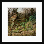 The Wild Wood - A Winter Evening, 1995 by Raymond Booth