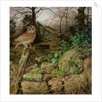 The Wild Wood - A Winter Evening, 1995 by Raymond Booth