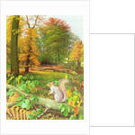 Squirrel on a Fallen Tree, 1995 by Raymond Booth