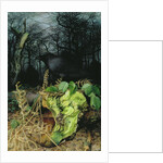 Midwinter in the Woods, 1999 by Raymond Booth