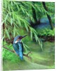 Kingfisher, 1996 by Raymond Booth