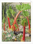 In the Rhubarb Patch, 2000 by Raymond Booth