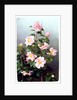 Camellia Japonica Variety, 1993 by Raymond Booth