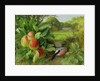 Katja Apple and Bullfinch, 1999 by Raymond Booth
