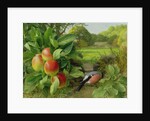 Katja Apple and Bullfinch, 1999 by Raymond Booth