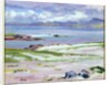 Iona, 1928 by Francis Campbell Boileau Cadell