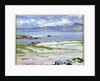 Iona, 1928 by Francis Campbell Boileau Cadell