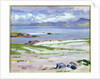 Iona, 1928 by Francis Campbell Boileau Cadell