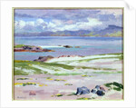 Iona, 1928 by Francis Campbell Boileau Cadell