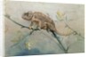 Chameleon, 1901 by Edwin John Alexander