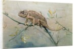 Chameleon, 1901 by Edwin John Alexander