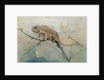 Chameleon, 1901 by Edwin John Alexander