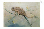 Chameleon, 1901 by Edwin John Alexander