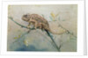 Chameleon, 1901 by Edwin John Alexander