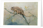 Chameleon, 1901 by Edwin John Alexander