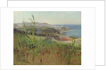 Tangier from the Dunes, 1892 by Alexander Mann
