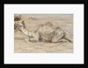 Camel at the Artist's Camp with Bedouins by Edwin John Alexander