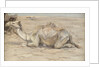 Camel at the Artist's Camp with Bedouins by Edwin John Alexander