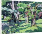 Trees at Auchinleck, Ayrshire by Francis Campbell Boileau Cadell