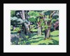 Trees at Auchinleck, Ayrshire by Francis Campbell Boileau Cadell