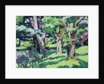 Trees at Auchinleck, Ayrshire by Francis Campbell Boileau Cadell