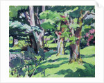 Trees at Auchinleck, Ayrshire by Francis Campbell Boileau Cadell