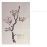Apple, Walberswick, 1915 by Charles Rennie Mackintosh