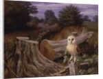 Barn Owl at Dawn, 1980 by Raymond Booth
