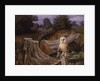 Barn Owl at Dawn, 1980 by Raymond Booth