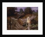 Barn Owl at Dawn, 1980 by Raymond Booth