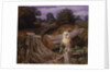 Barn Owl at Dawn, 1980 by Raymond Booth
