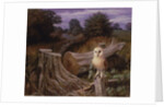 Barn Owl at Dawn, 1980 by Raymond Booth