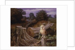 Barn Owl at Dawn, 1980 by Raymond Booth