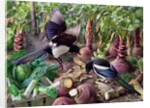 Magpies in the Vegetable Garden by Raymond Booth