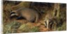 Badgers, 1982 by Raymond Booth