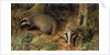 Badgers, 1982 by Raymond Booth