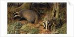 Badgers, 1982 by Raymond Booth