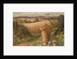 Hare in a Field, 1980 by Raymond Booth
