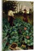 Cabbage Garden, 1877 by Arthur Melville