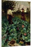 Cabbage Garden, 1877 by Arthur Melville