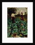 Cabbage Garden, 1877 by Arthur Melville