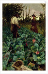 Cabbage Garden, 1877 by Arthur Melville