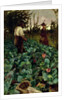 Cabbage Garden, 1877 by Arthur Melville