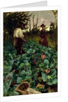 Cabbage Garden, 1877 by Arthur Melville