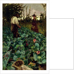 Cabbage Garden, 1877 by Arthur Melville