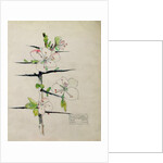 Blackthorn, Chiddingstone, Kent, 1910 by Charles Rennie & MacDonald Mackintosh Margaret (1864-1933) Mackintosh