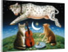 The Cat and the Fiddle, 2004 by Frances Broomfield