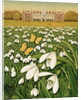 Snowdrop Day, Hatfield House, 1999 by Frances Broomfield